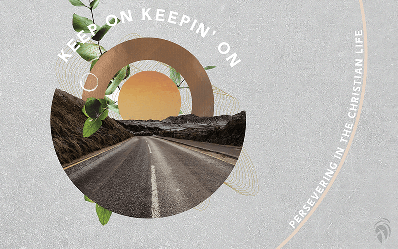 KOKO Series Video Graphic