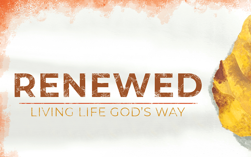 Renewed Series Video Graphic