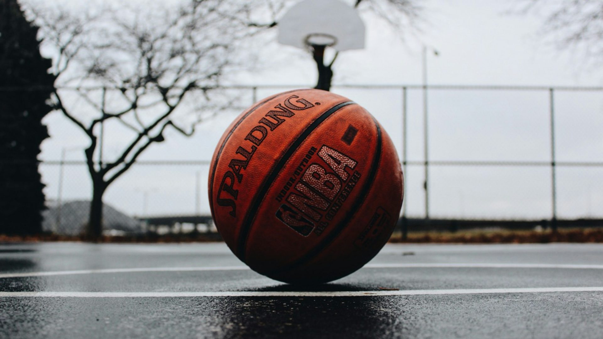 tj-dragotta-Gl0jBJJTDWs-unsplash